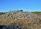Steinhaug1